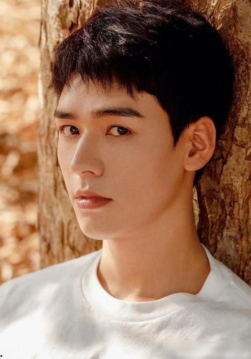 吃瓜爆料龚俊视频下载百度云,吃瓜爆料背后的精彩瞬间  第2张